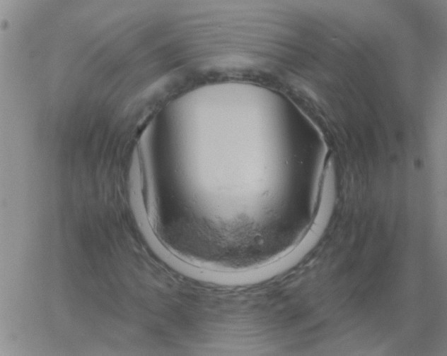 X0000061741062200512231454