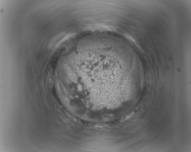 X0000061741063200512231454