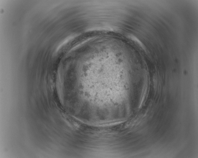 X0000061741064200512231454