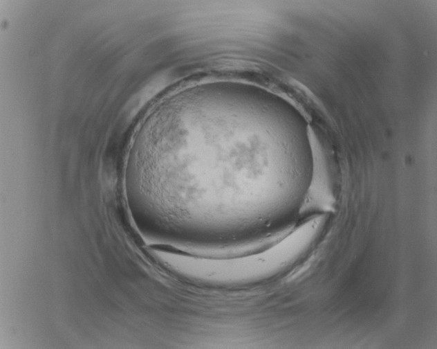 X0000061741065200512231454