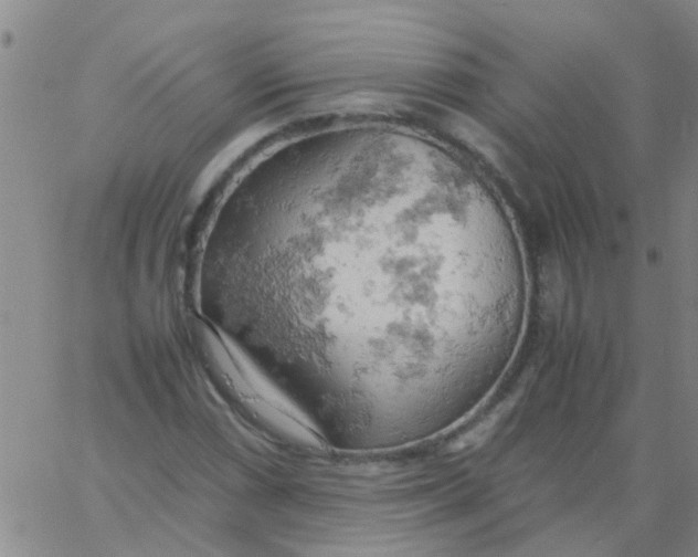 X0000061741066200512231454