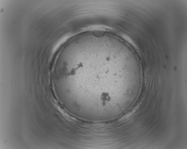 X0000061741067200512231454