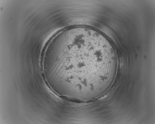 X0000061741068200512231454