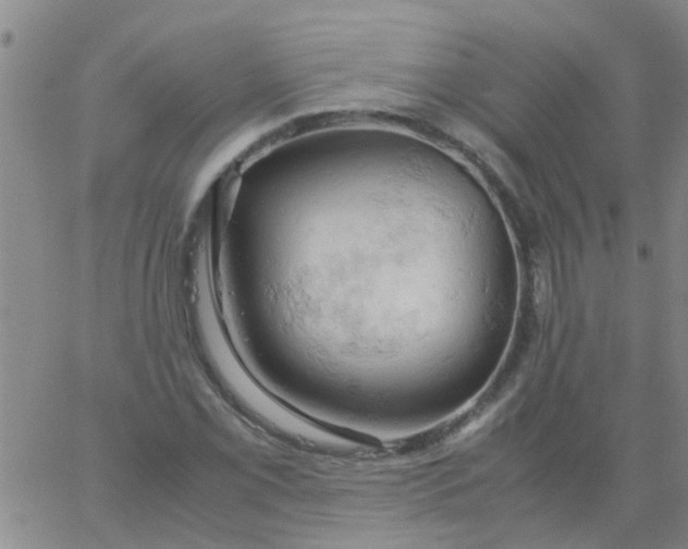 X0000061741069200512231454