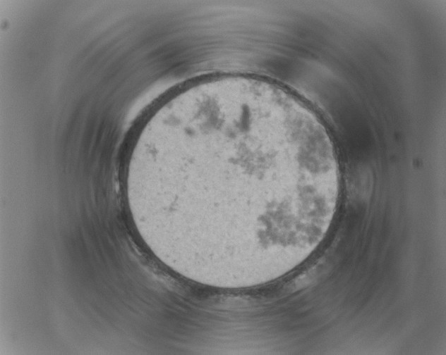 X0000061741070200512231454