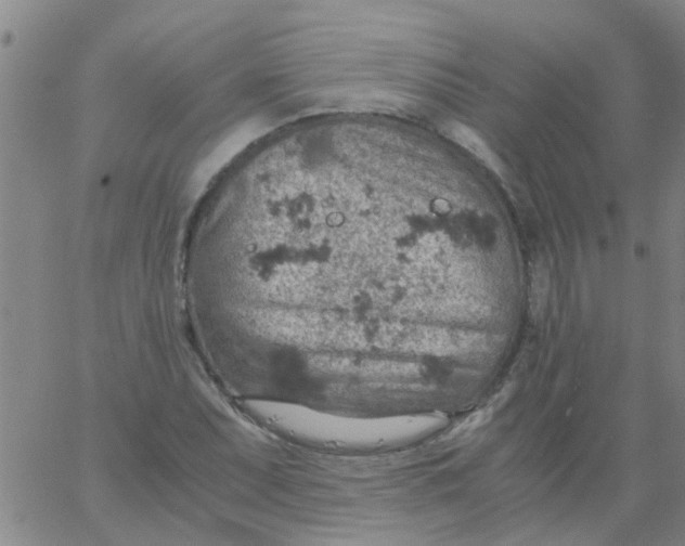 X0000061741071200512231454