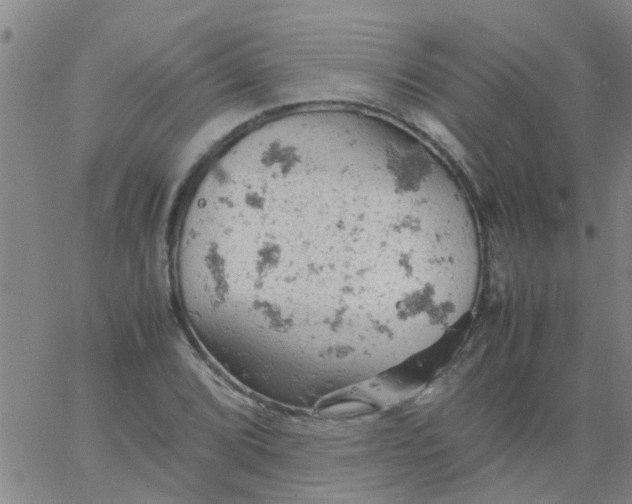 X0000061741072200512231454