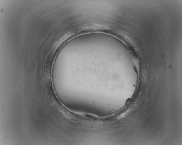 X0000061741073200512231454