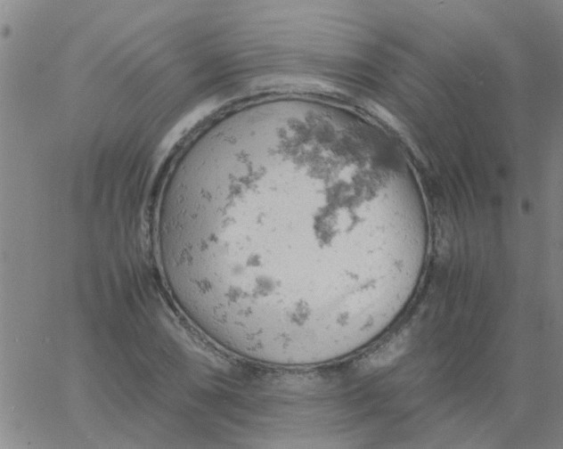 X0000061741074200512231454