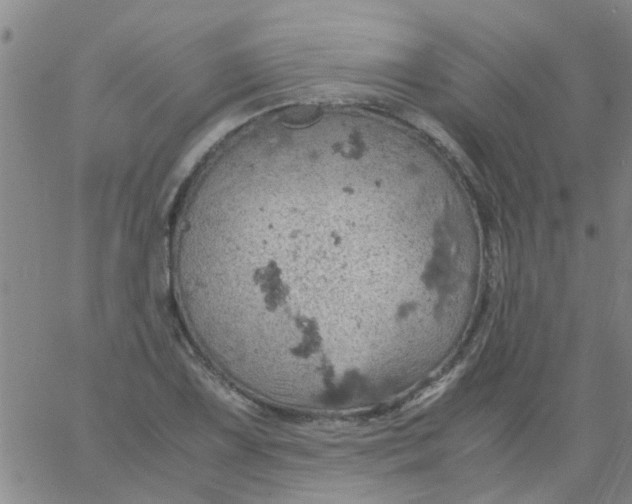 X0000061741075200512231454