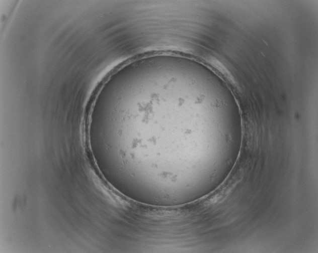 X0000061741076200512231454