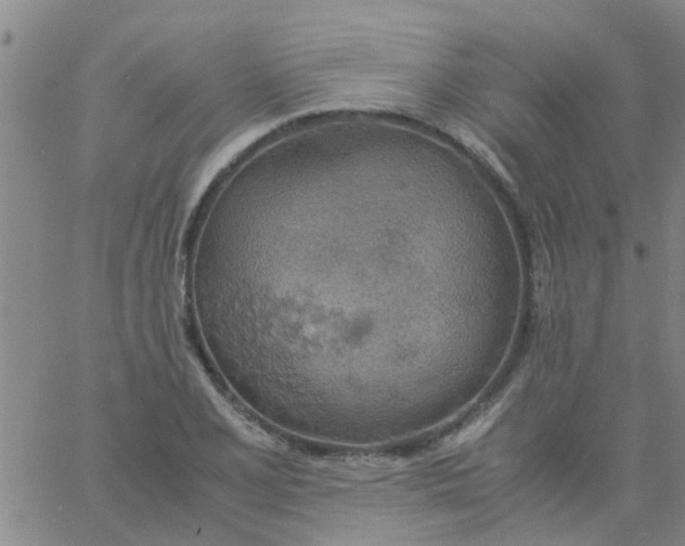 X0000061741077200512231454