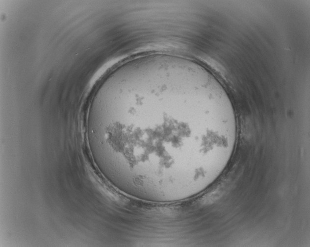 X0000061741078200512231454