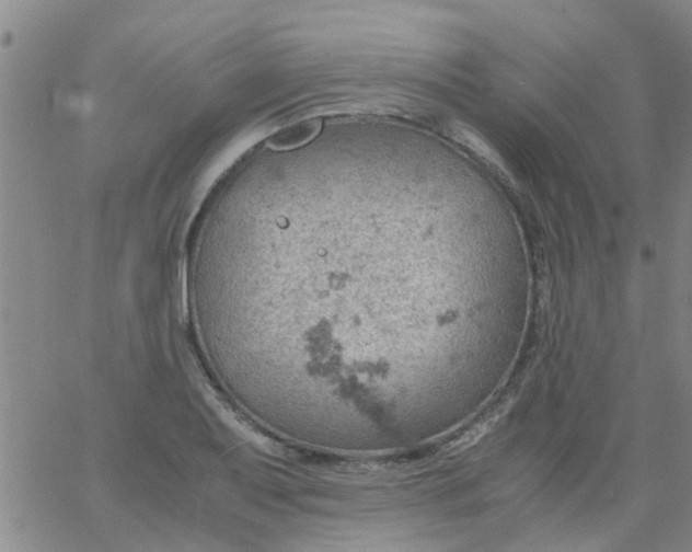 X0000061741079200512231454