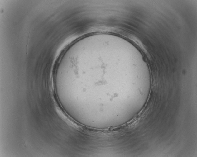 X0000061741080200512231454