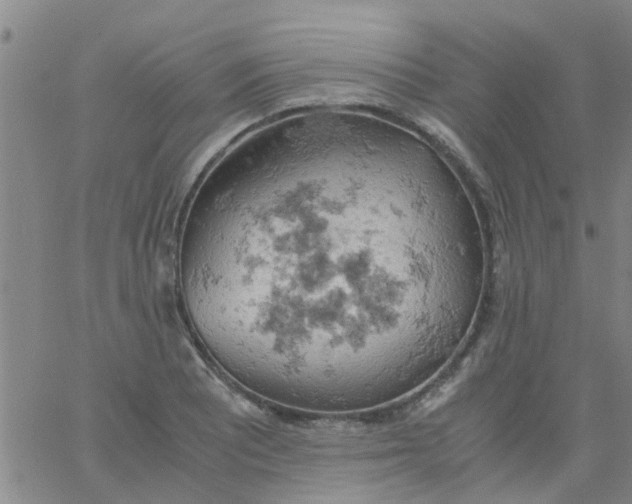 X0000061741081200512231454