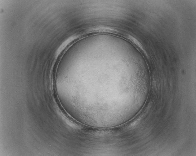 X0000061741082200512231454