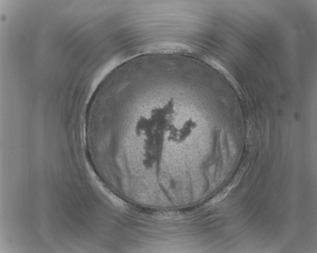 X0000061741083200512231454