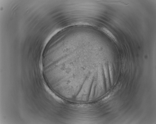 X0000061741084200512231454