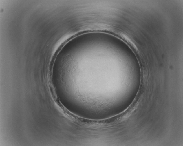 X0000061741085200512231454