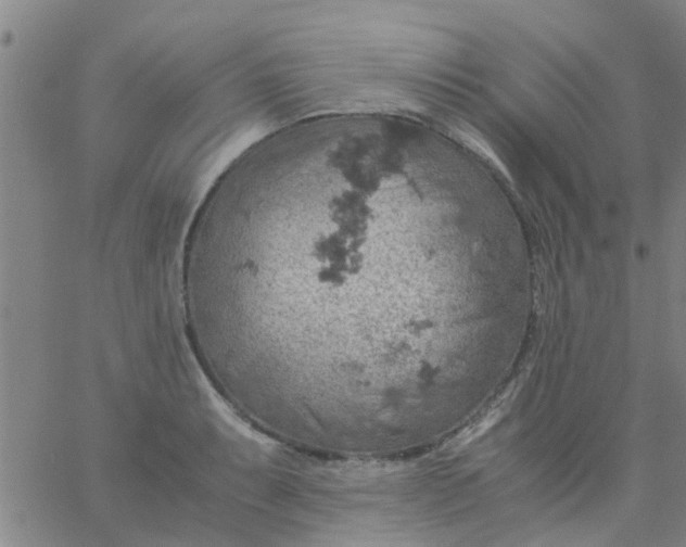 X0000061741087200512231454