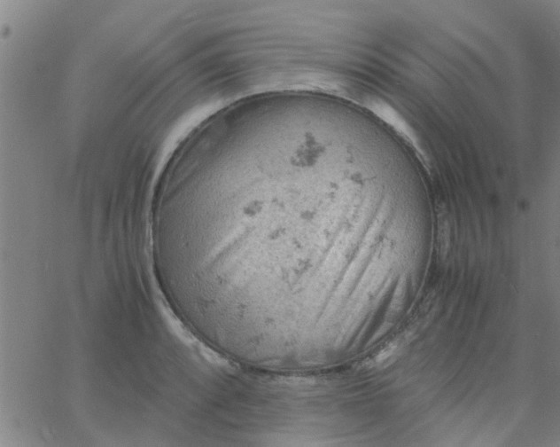 X0000061741088200512231454