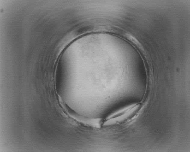 X0000061741089200512231454