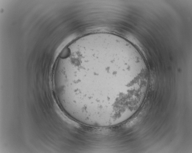 X0000061741090200512231454