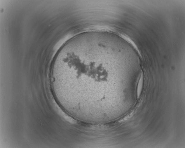 X0000061741091200512231454