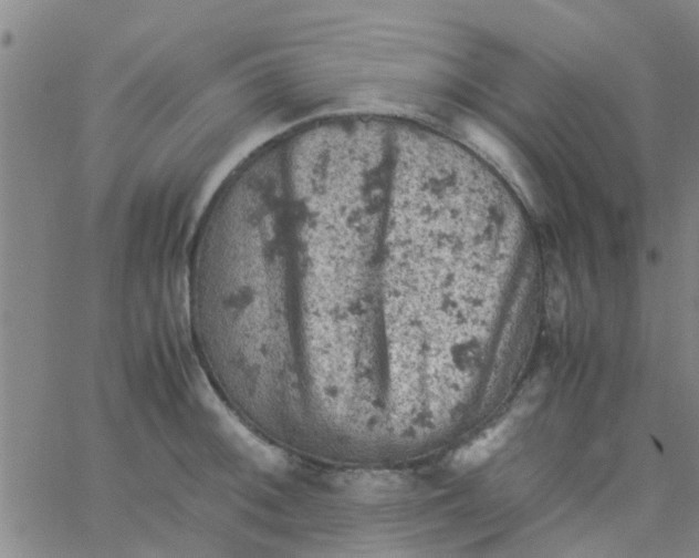 X0000061741092200512231454