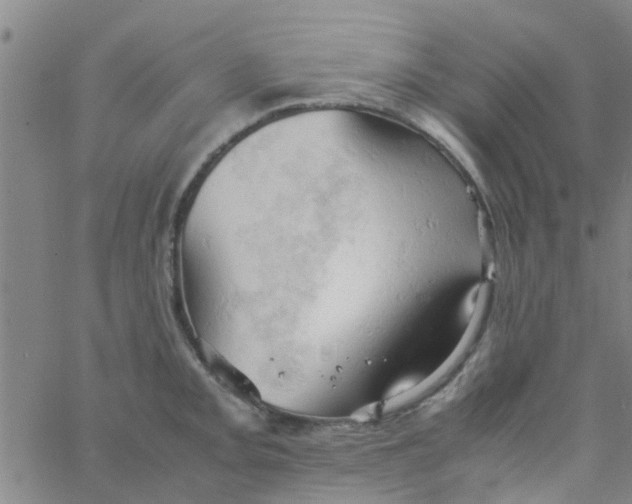 X0000061741093200512231454