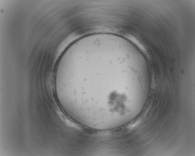 X0000061741094200512231454