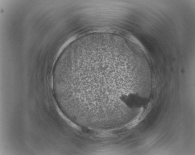 X0000061741095200512231454