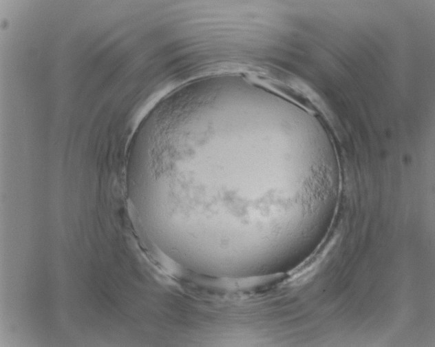 X0000061741097200512231454