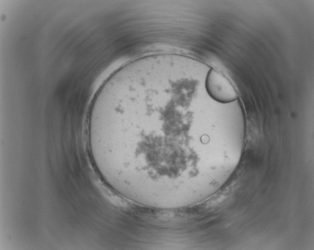 X0000061741098200512231454