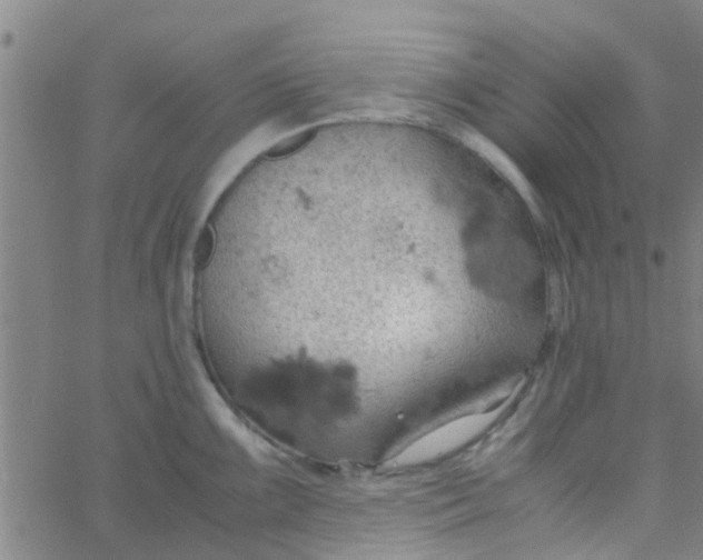 X0000061741099200512231453