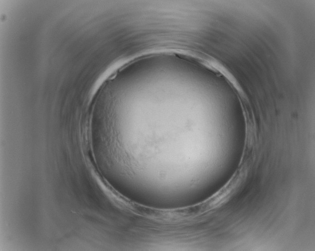 X0000061741101200512231453