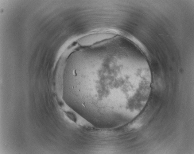 X0000061741102200512231453