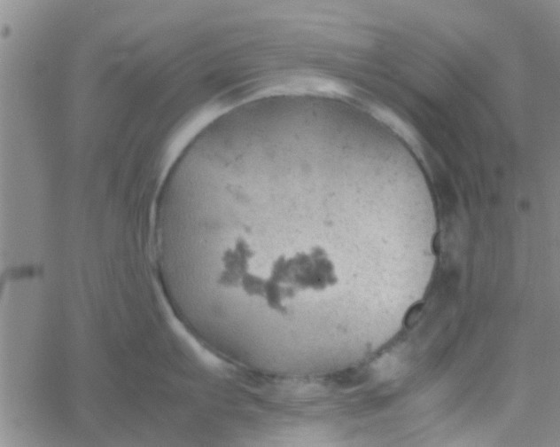 X0000061741103200512231453