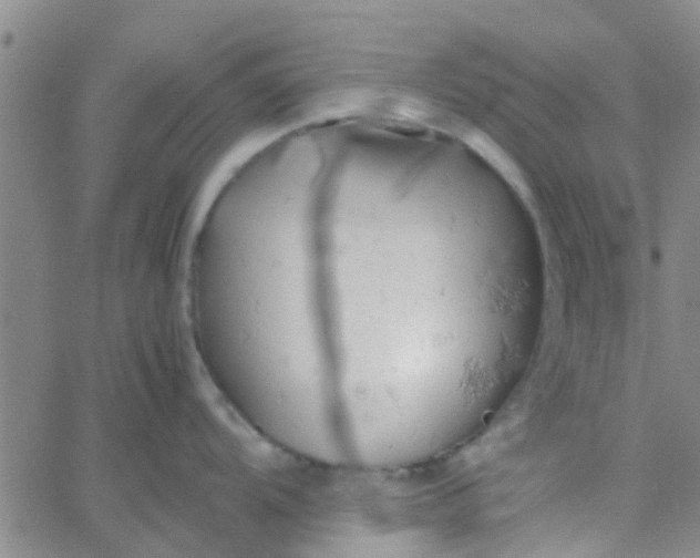 X0000061741104200512231453