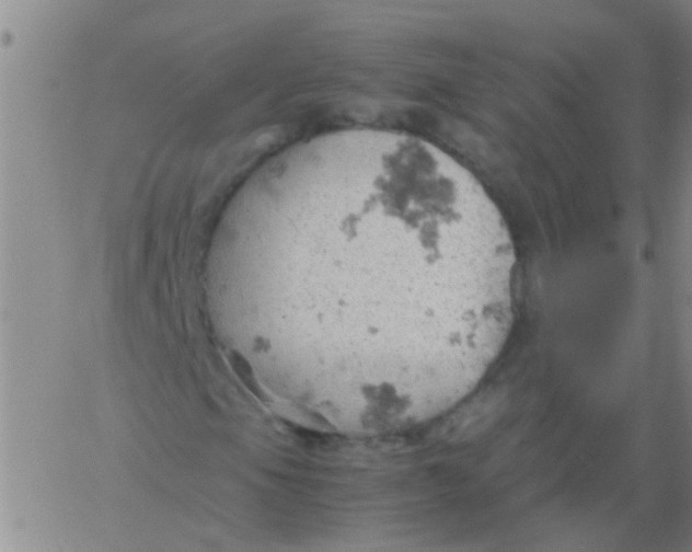 X0000061741105200512231453