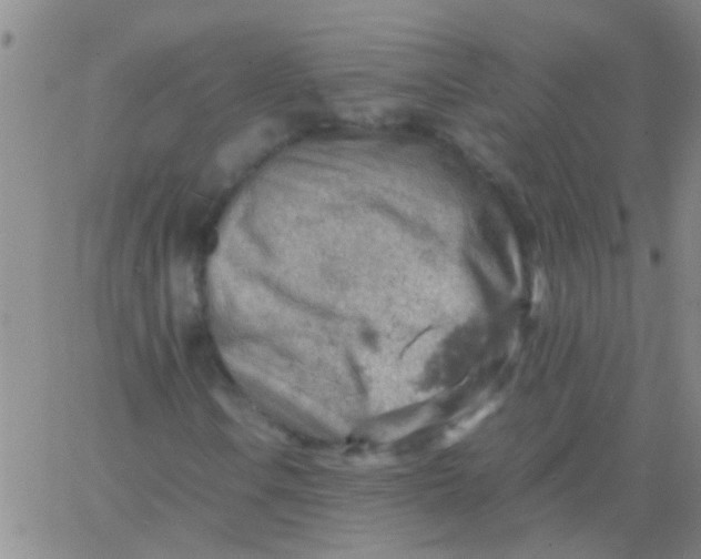 X0000061741106200512231453