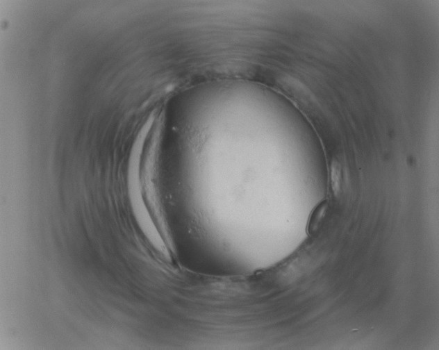 X0000061741107200512231453