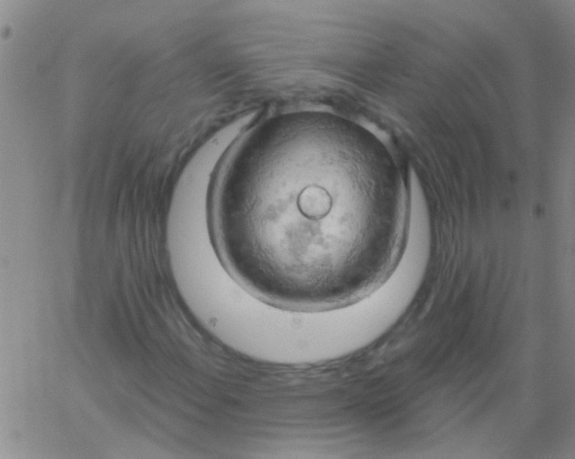 X0000061741108200512231453