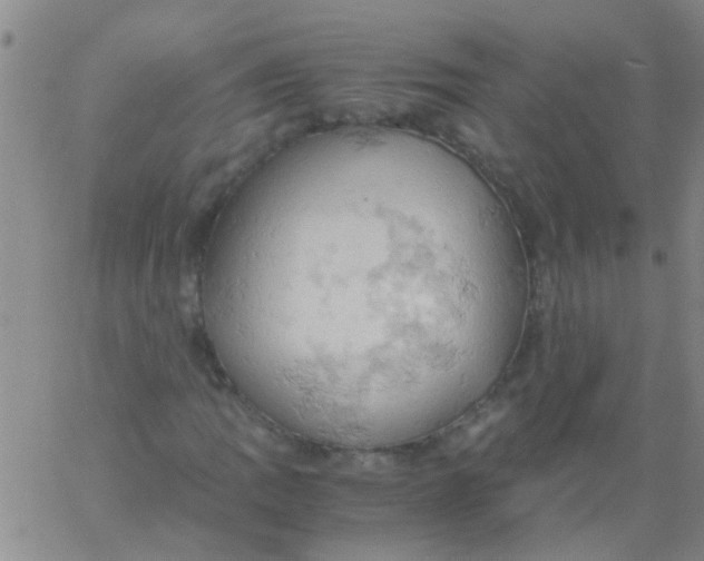 X0000061741109200512231453