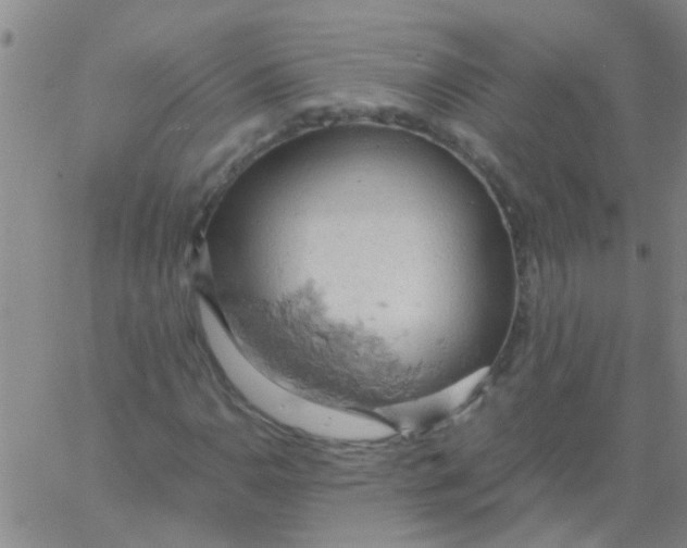 X0000061741110200512231453