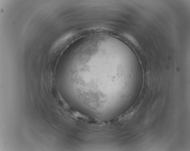 X0000061741111200512231453