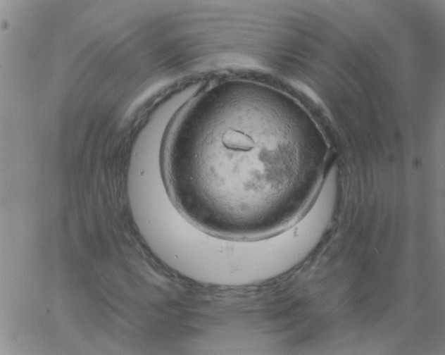 X0000061741112200512231453