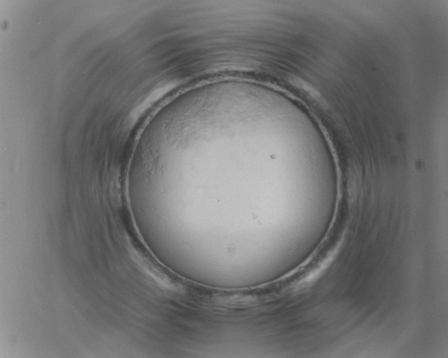 X0000061741113200512231453