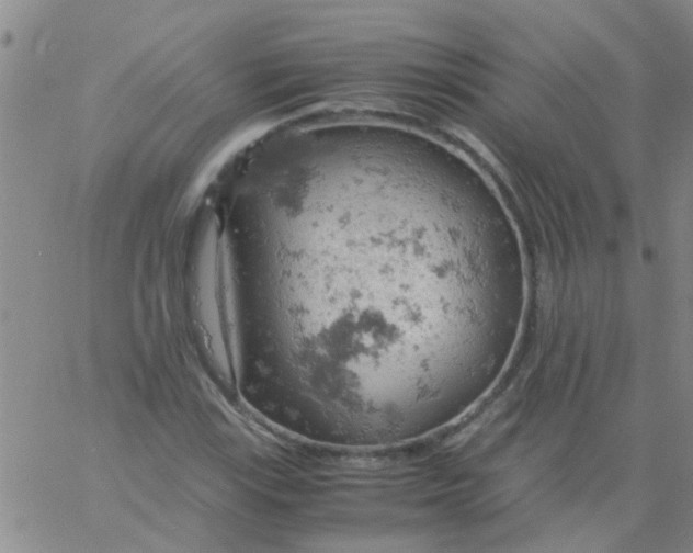 X0000061741115200512231453